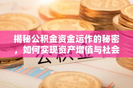 芦竹揭秘公积金资金运作的秘密，如何实现资产增值与社会福利双赢？