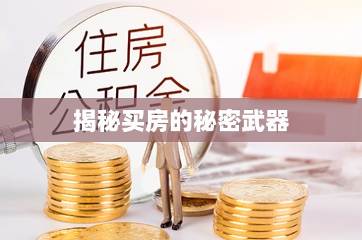 芦竹揭秘买房的秘密武器