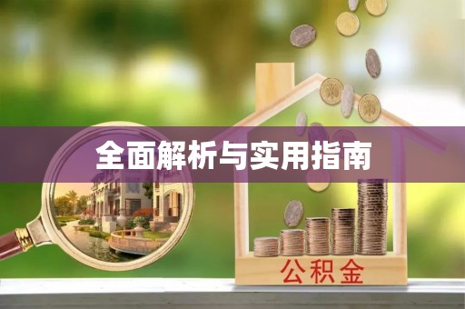 芦竹全面解析与实用指南