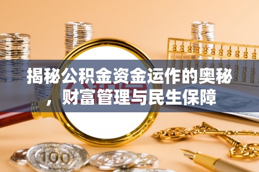 芦竹揭秘公积金资金运作的奥秘，财富管理与民生保障