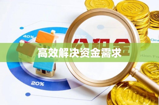 芦竹高效解决资金需求