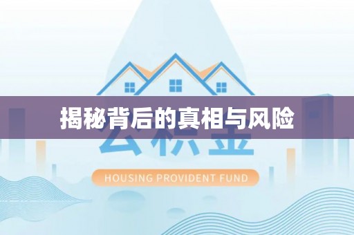 芦竹揭秘背后的真相与风险
