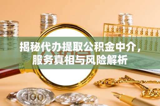 芦竹揭秘代办提取公积金中介，服务真相与风险解析